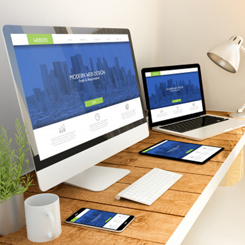 Website Institucional